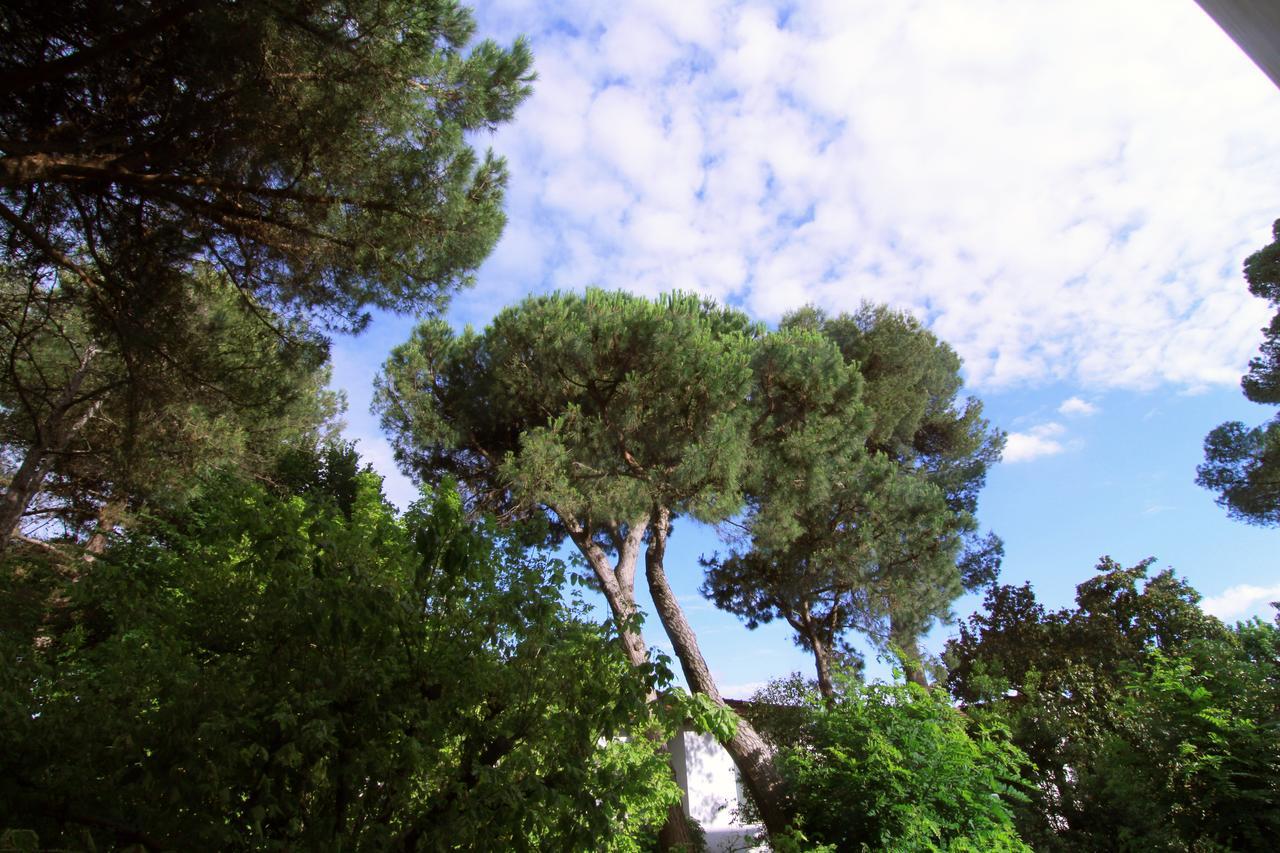 Hotel Garni Picnic Riccione Exteriör bild